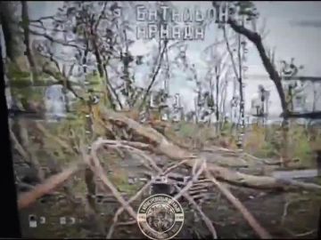 WarGonzo: �� fpv-������ ������! � �������� �������� 3-�� ��� 291-�� �����