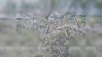 �����-��������� 39 ��������� ����������� �������������� ������� 68 ���������� ������� ����������� ����� "������" ���������� �������������� ���������� ����������� ����������� ������, ��������� ������� ��� �� �����������...