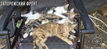 Всем бодрого утра с Запорожского направления