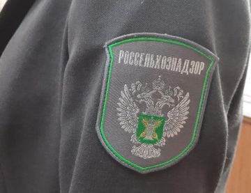 В Запорожской области Россельхознадзор посредством ФГИС «Аргус-Фито» выявил 127 непогашенных карантинных сертификатов