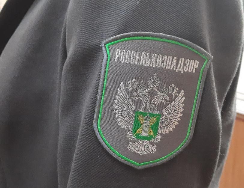 В Запорожской области Россельхознадзор посредством ФГИС «Аргус-Фито» выявил 127 непогашенных карантинных сертификатов