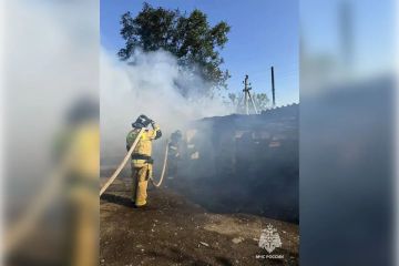На пожаре в Запорожской области погиб человек