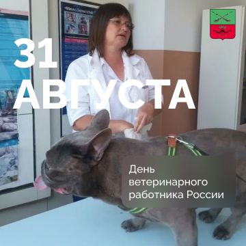 ���������������� �������� ������������ ������������