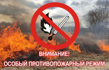В Запорожской области ввели длительный особый противопожарный режим