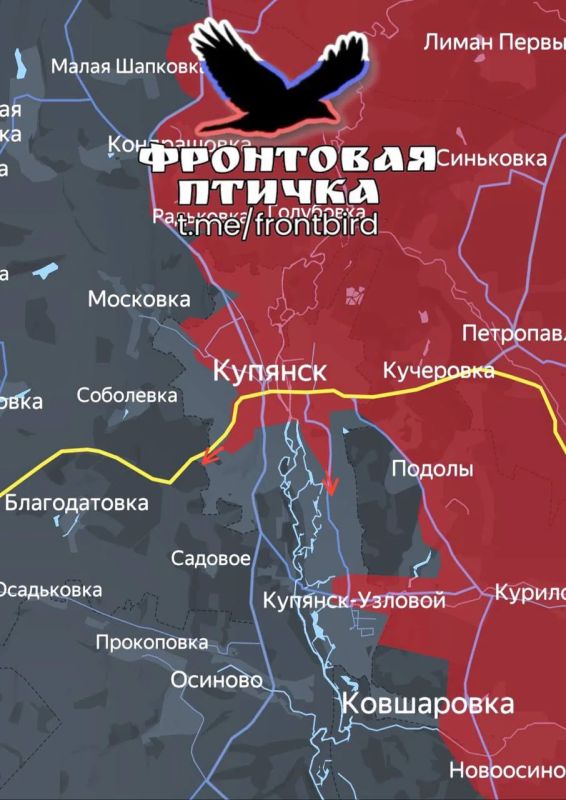 Владислав Шурыгин: Харьковское направление и общая сводка с фронта 31.08