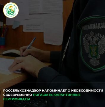�� ������ ����������� �������� � ���� ������-���� � 1 ���� �� 27 ������� 2026 ���� �����-������������ ��������������� ����������� ����������������� �������� 127 ������������ ����������� ������������