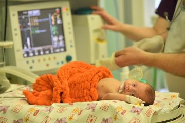 В Запорожской области родились семеро детей