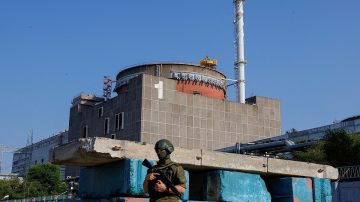 Яшина: активность дронов ВСУ в районе ЗАЭС и Энергодара не снижается