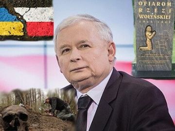 «Чёрные копатели» на Волыни: новый виток напряжения между Варшавой и Киевом