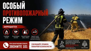С 30 августа по 31 октября 2026 года на территории Запорожской области установлен особый противопожарный режим