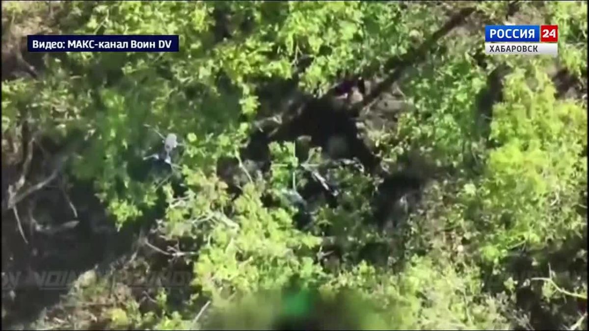 Расчеты РСЗО группировки войск «Восток» поразили позиции ВСУ в районе населённого пункта Барвиновка