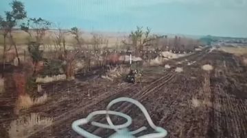 �������������� ���������� �������� ��������� ��� ������ ������ ���������