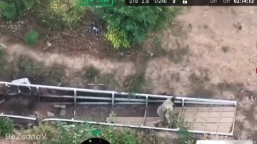 ������ ��������: #���������. ������ ������ �������� ������� ���� ����������� ����� ������� �� ����������� ������� ���������� ���� ��� � ����������� �������