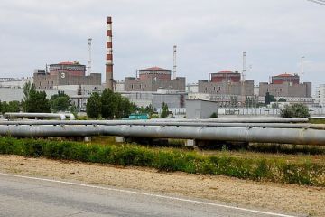 Яшина: ВСУ продолжают обстрелы в районе ЗАЭС