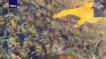 �� �� ���������� �������� ������� � ����������� �������, �������� �� ��