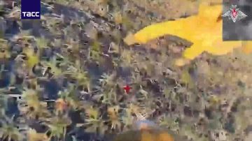 ����� ������������ ����������� ������ �������� ������� � ����������� �������