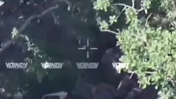 ��������� 37 ��������� �������������� ������� 36 ����� ����������� ����� "������" ������� � ���������� ����� ���� ���������� �� ����������� �����������