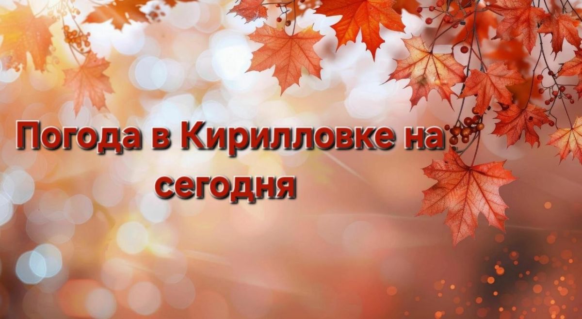 ПРОГНОЗ ПОГОДЫ НА СЕГОДНЯ. В Кирилловском сельском поселении сегодня, 01 сентября, ожидается: Днём -- +25С
