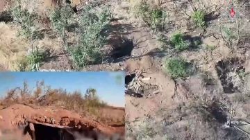 ����� ������������ ��������������� ����������� ����� ������� ����������� ������ �������� ������� � ����������� �������