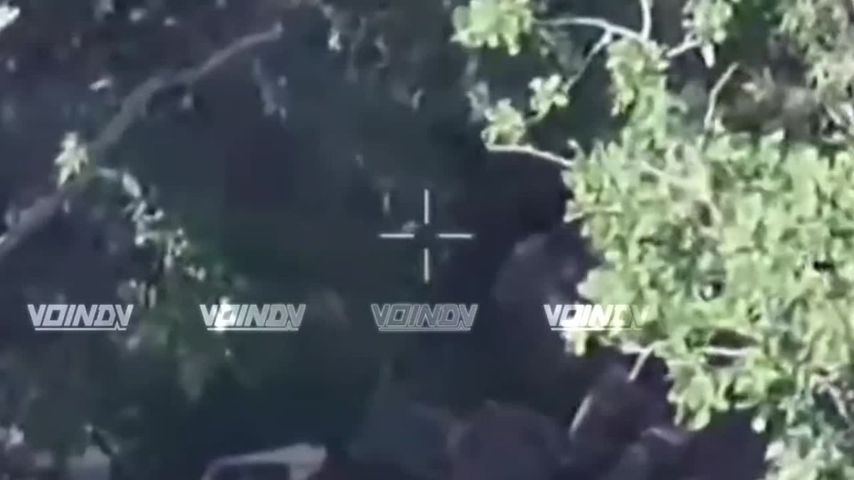 Гвардейцы 37 отдельной мотострелковой бригады 36 армии группировки войск "Восток" выявили и уничтожили живую силу противника на Запорожском направлении