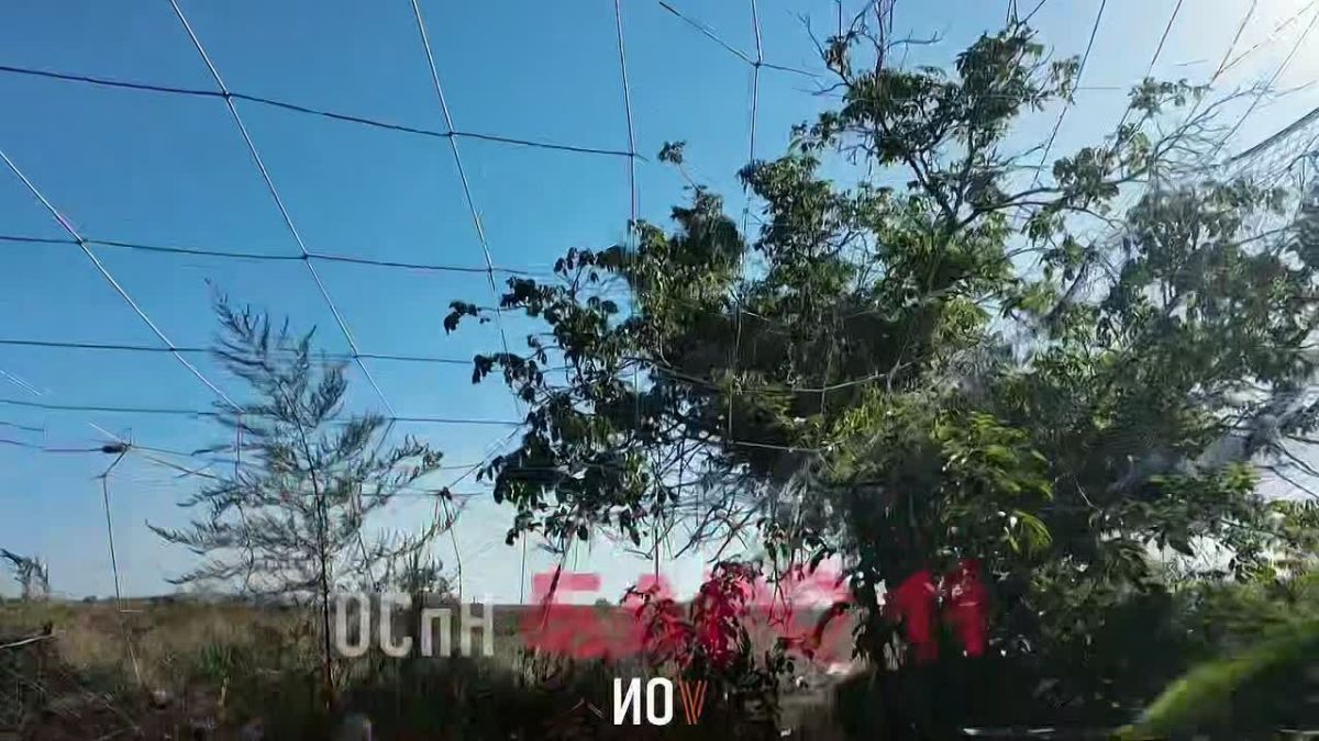 Два майора: БОЕВАЯ РАБОТА. На видео — работа добровольцев отряда специального назначения БРАС-11