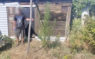 � ���������� ������ ������������ �������� ���������� ��������������� � �������� ��������������� ��������