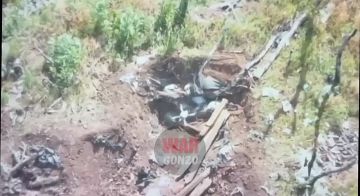 WarGonzo: Дроноводы группы Немца пропалывают землянки УПА