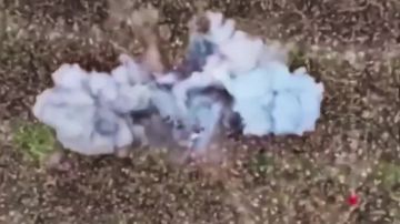 ������ �������: ��� ��� �� ����������� ����������� ���������� ������������ ������� "����� �����", ����������� �� �������� ��������� � �����������