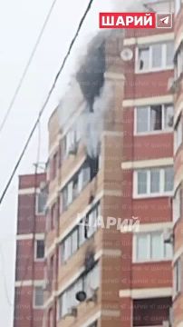 �������� �����: � ������������ ������ ���� ������� �� ����� ����� � �����������