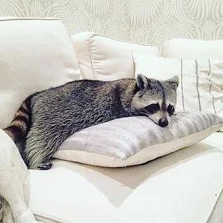 Доброй ночи, дорогие подписчики! Доброй ночи, Запорожье!