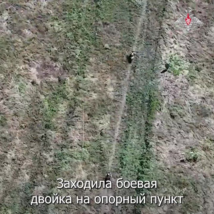 Владимир Рогов: Русская "открывашка" для схрона нацистов