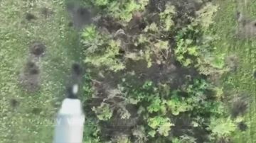 �������� �����: ��������� 29 ����� ������������� ����� ���� ��� � ����������� �������