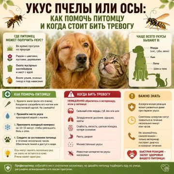���� ����� ��� ���: ��� ������ ������� � ����� ����� ���� �������