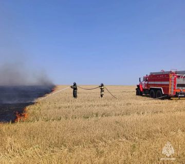 Оперативная информация за сутки