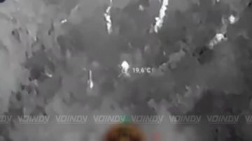 ��������� 64 ��������� �������������� ������� 35 ����� ����������� ����� "������" ������� ���� �� �������� ��� �� ����������� �����������