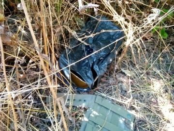 В Запорожской области найдены боеприпасы