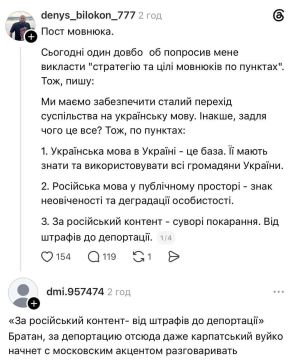 А какая задумка была!. Очередной потужный активист выкатил в соцсетях свою «стратегию», предложив жестоко наказывать за русский контент — вплоть до депортации с Украины