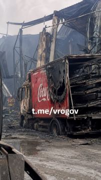 Владимир Рогов: А нас за що?!. В сожжённых Русской армией грузовиках Coca-Cola обнаружены