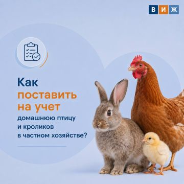 ������ � ��� ����� ���� �� �����