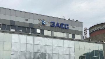 Нынешний 15-дневный блэкаут на ЗАЭС стал вторым по продолжительности для станции