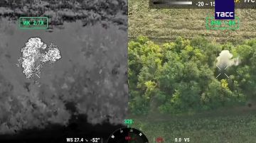 ��������� ���� "�������" ������� ���������� �������� ��� � ����������� �������, �������� � �� ��