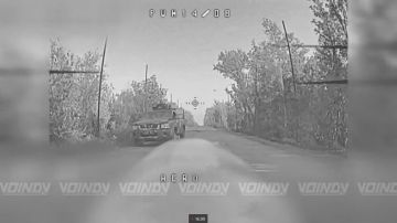 ��������� 36 ��������� �������������� ������� 29 ����� ����������� ����� "������" �������� ������� ����� ����, ��������� ������ ��� �� ����������� �����������