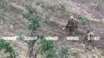 Гвардейцы 38 отдельной мотострелковой бригады 35 армии группировки войск "Восток" уничтожили малые группы живой силы противника на Запорожском направлении