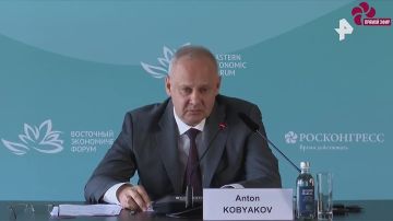 Юрий Баранчик: Ответственный секретарь оргкомитета Восточного экономического форума Антон Кобяков допустил переселение части населения России на территорию Украины - для спасения последней от вымирания