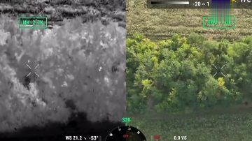 ��������� �� �� ������� ���������� �������� ��� � ����������� �������
