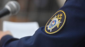 СК возбудил уголовное дело о теракте после удара ВСУ по рынку в Энергодаре