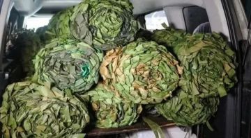 Продукты и масксети доставили волонтеры военным на Запорожском направлении