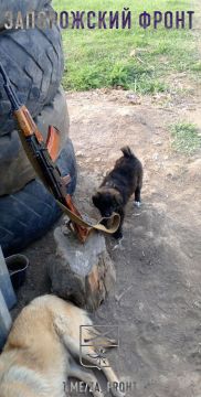Всем бодрого утра с Запорожского направления