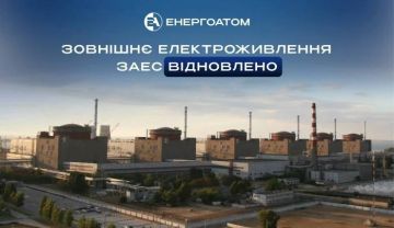 ���� ����: �� ����������� ��� ������������ ������� ���������������� � � 20 ������� ��� �������� �� ��������� �����������, �������� �����������