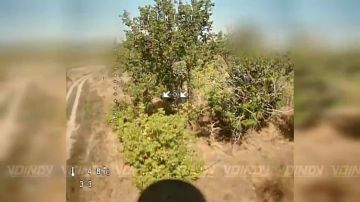 Операторы БпЛА 1198 мотострелкового полка 35 армии группировки войск «Восток» уничтожили антенны наземных станций управления ВСУ на Запорожском направлении